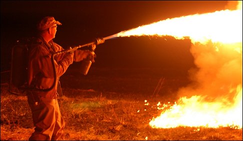 www.militaryspot.com